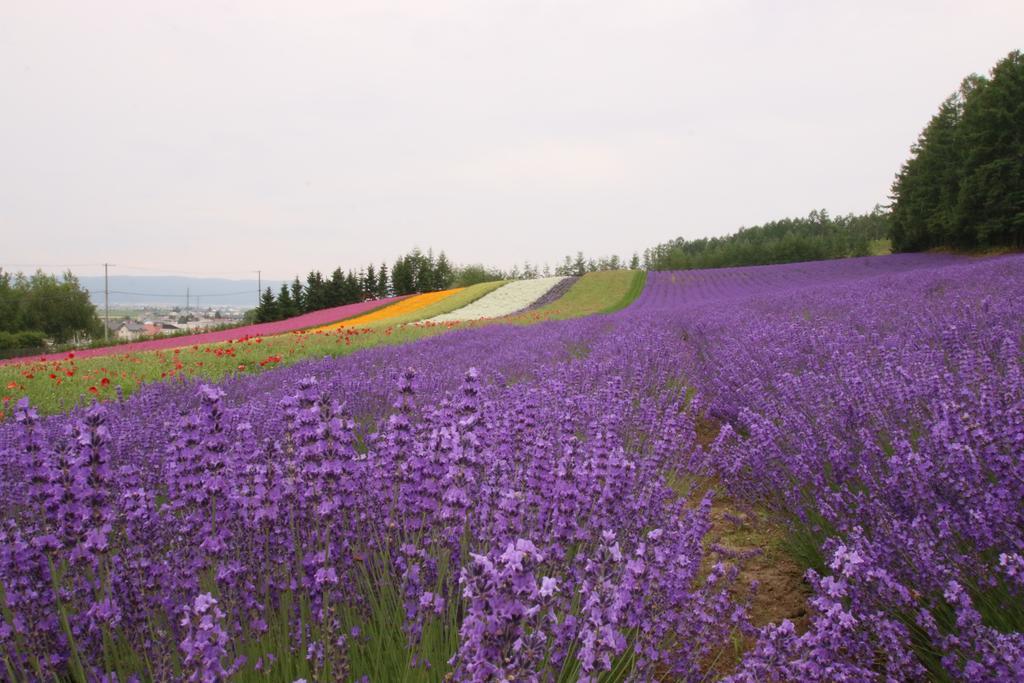 Furano Shiyuirin Hotel Kamifurano Exterior photo